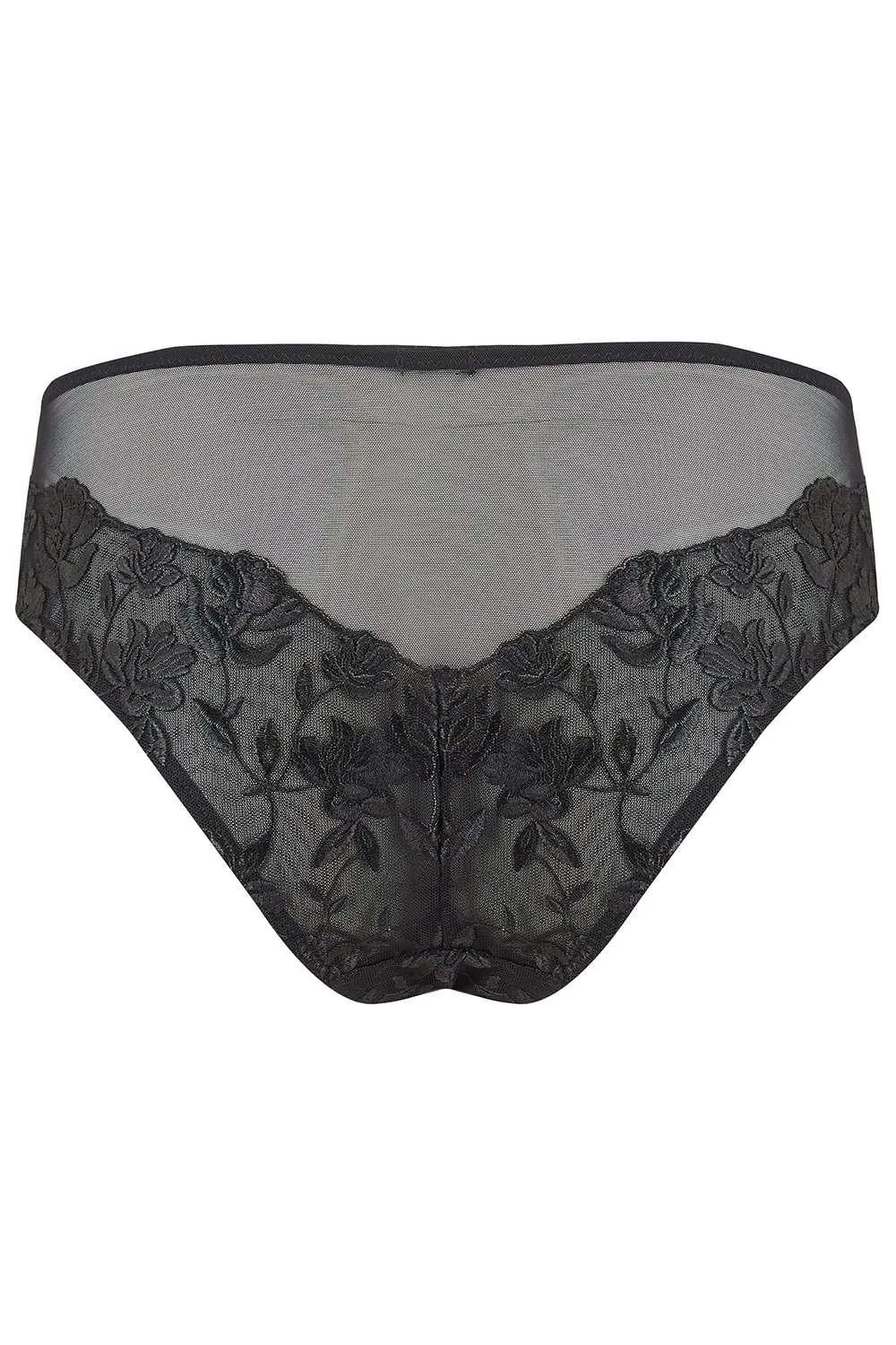 Aster Brief