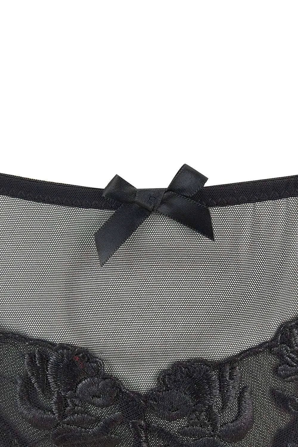 Aster Brief