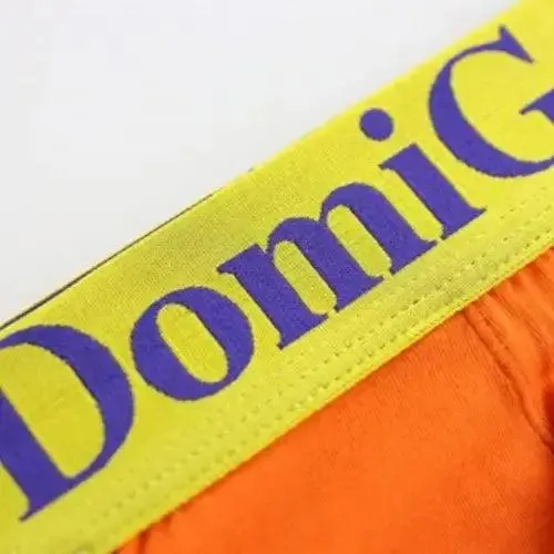 DomiGe Men's Modish T-Back Thong Modal Blend Thongs for Men