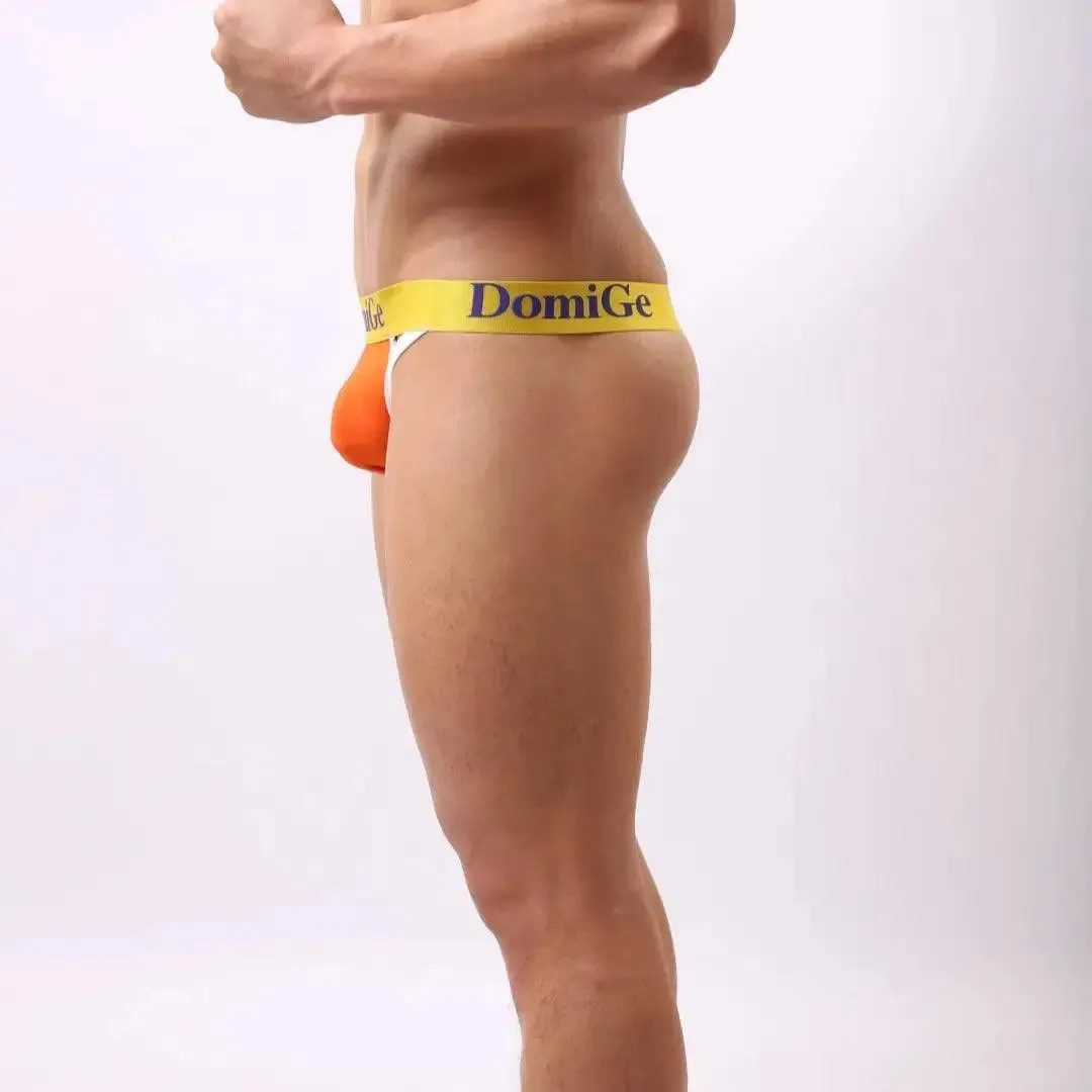 DomiGe Men's Modish T-Back Thong Modal Blend Thongs for Men