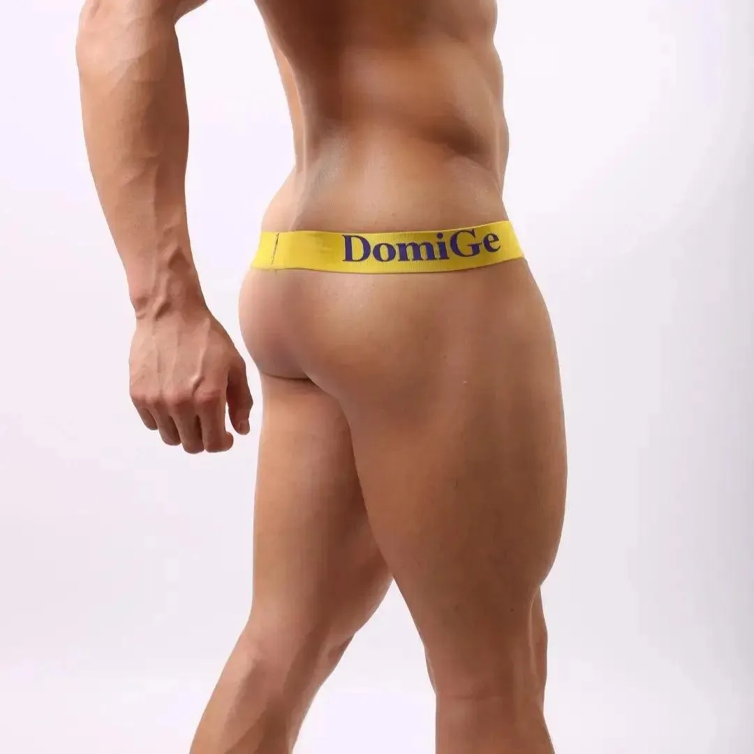 DomiGe Men's Modish T-Back Thong Modal Blend Thongs for Men