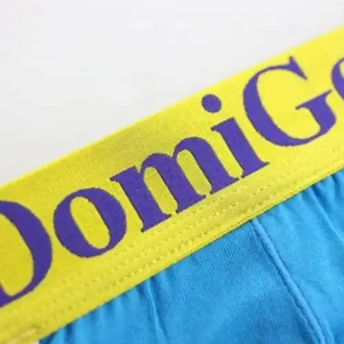 DomiGe Men's Modish T-Back Thong Modal Blend Thongs for Men